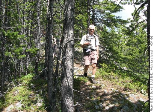 Unofficial trail and route coming down the ridge
