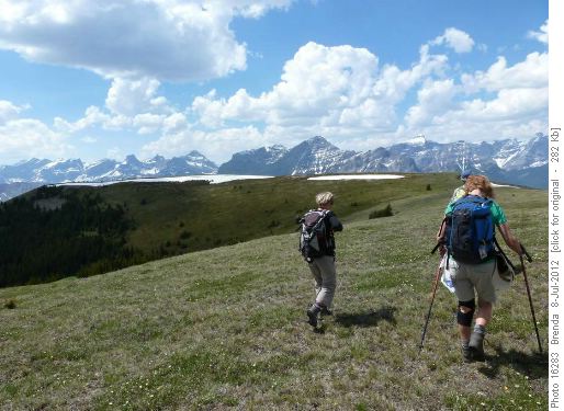Grassy L Shaped Ridge