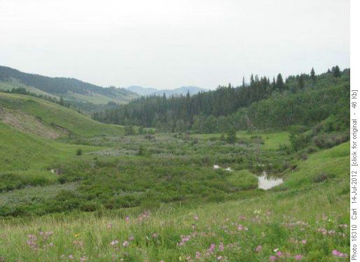 Bob Creek valley