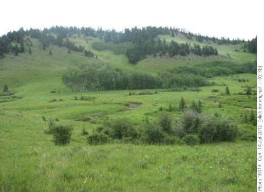 Bob Creek valley
