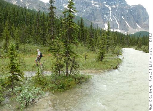 Paradise Creek flooding near second bridge