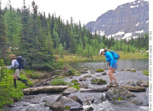 Careful ...the wet log is slippery and moves