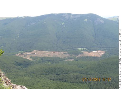Clear-cutting along Powderface road