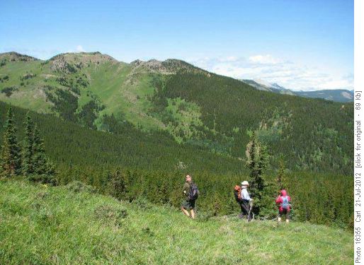 Heading down to Timber Creek, trail on ridge