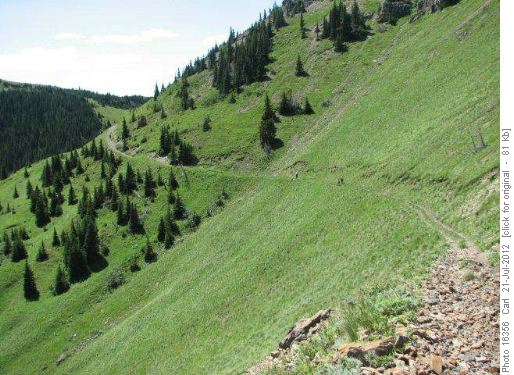 Timber Creek Pass trail