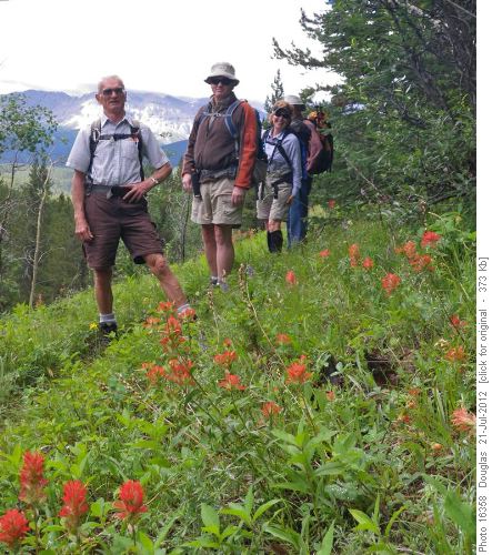 John, Jim, Sue and Laszlo on the open slopes near the start of the trail
