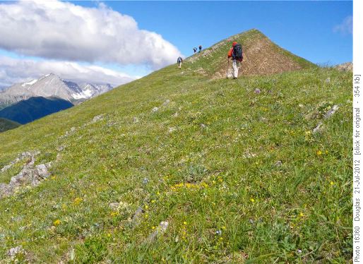 Heading up the grassy part of the ridge