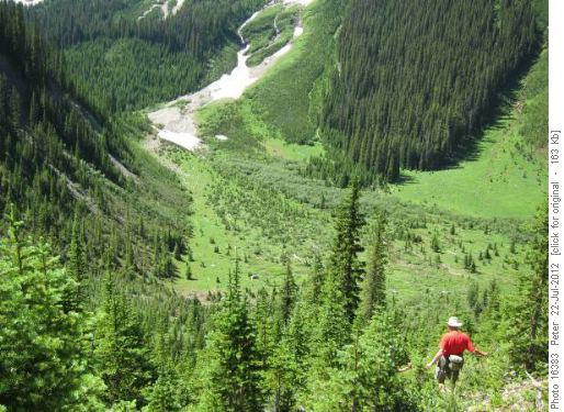 Trail down to Commonwealth Creek