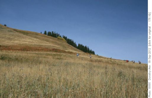 Some ambitious Ramblers tackle the hill, straight up