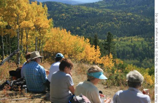 Tea time at the high point of Curly Sand trail
