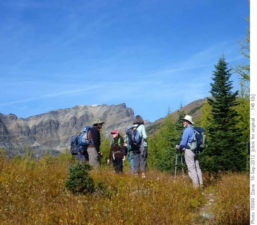 Panorama meadow with ridge on right