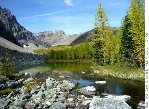Upper tarn, larch turning colour
