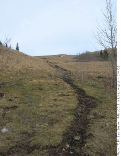 No Snow on Grass Pass