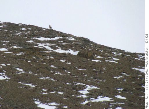 Being 'watched' from the ridge above