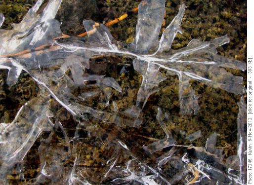 Ice crystals at the trailhead