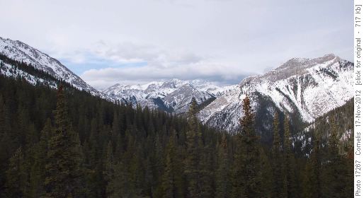 We had tea a little above and to the South of Baldy Pass (1,900m Elevation), looking West to Mt Lorette (2,487m)
