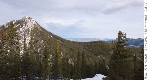 Looking NNW from Baldy Pass onto Baldy Mountain Ridge