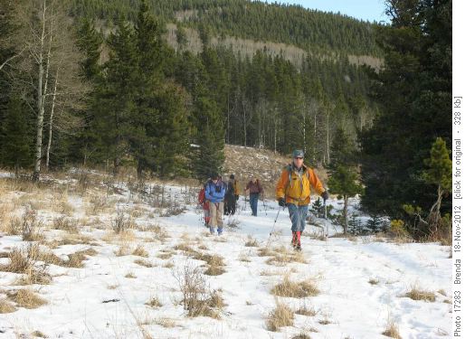 Hiking along Corral Creek exploration road