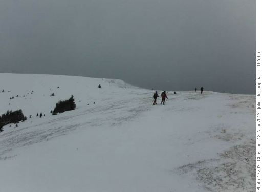 Windblown summit of Old Baldy Ridge