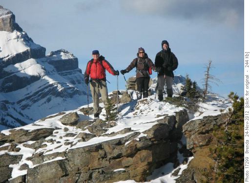 The other 3 on rocks just to the north