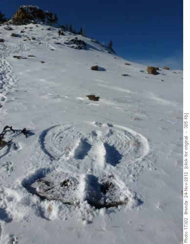 Snow angel below the knob