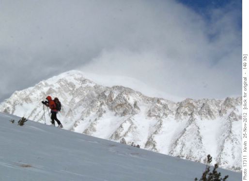 Sim ascending the lower ridge above the treeline
