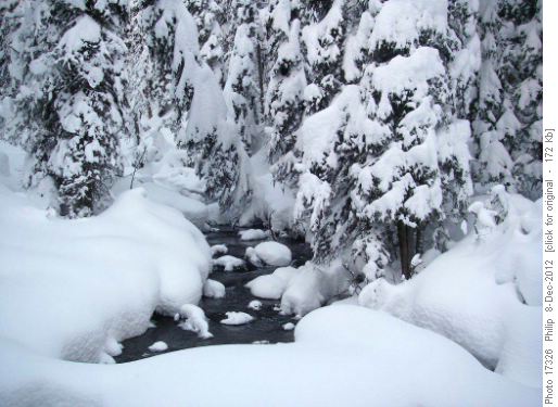 Murray Creek