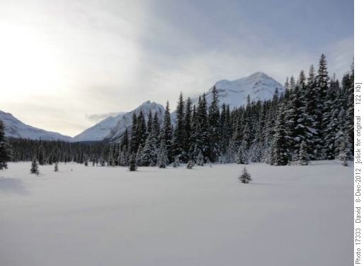 Mt Ball from Shadow Lake Lodge