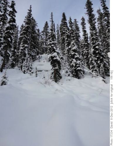 Red Earth Creek Possible Avalanche run out 3