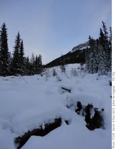 Red Earth Creek Possible Avalanche run out 1
