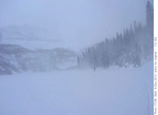 Ray in Blowing Snow
