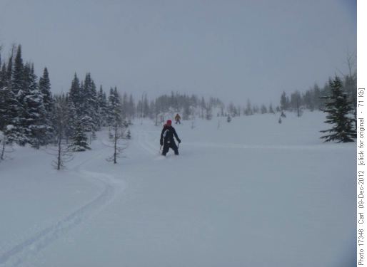 Stuart in Healy Meadows