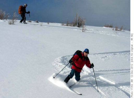{1519 Rolf S} enjoying the snow