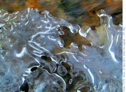 Ice formation on Goat Creek