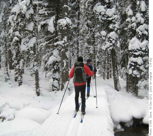 Winter wonderland along Fox Creek trail