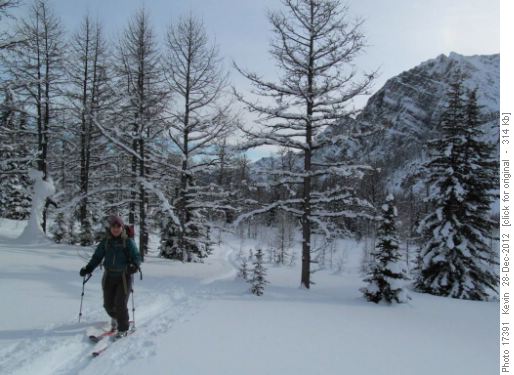 Celine in the meadows below Panorama Ridge