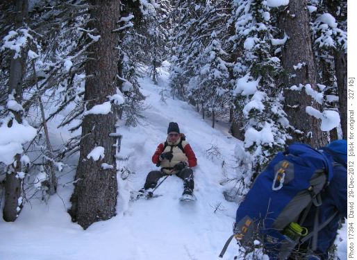 Coming down the gully