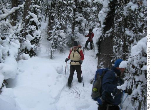 Lots of snow in the gully