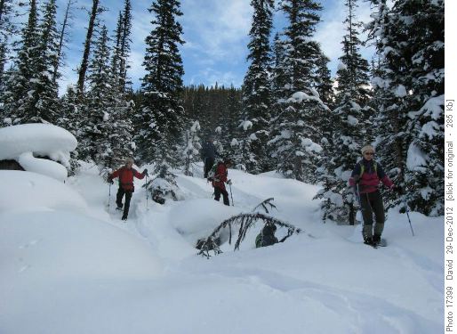 Coming back down in the deep snow
