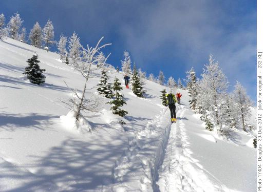 Open slopes of Bourgeau Meadows with Manfred, John and Phyllis
