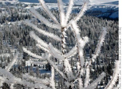 Hoar frost.