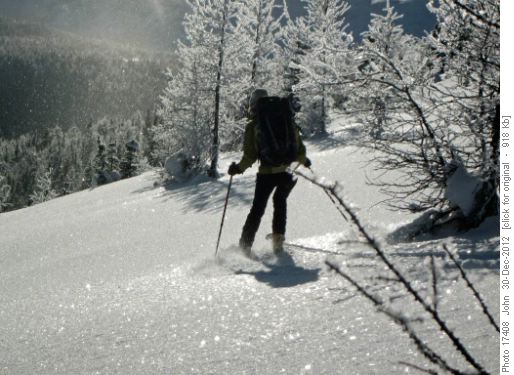 {491 Phy Nor} skiing the shiny hoar frost