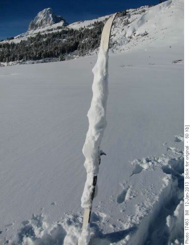 Totally iced up ski