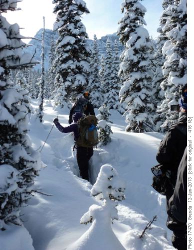 Trail breaking got deeper when we reached the meadows