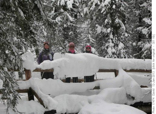Snow Queens on the bridge