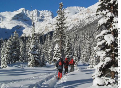 Heading up Chickadee Valley