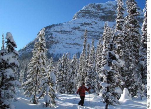 Doug heading up Chickadee with Mt Whymper in the background