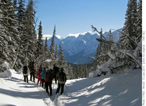 Heading Down the Gully