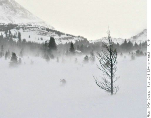 After finally digging out the buried ski, then the winds came