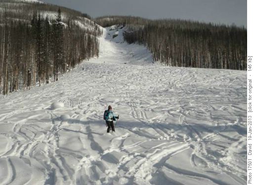 Vermilion Gully {444 Nancy Earle}